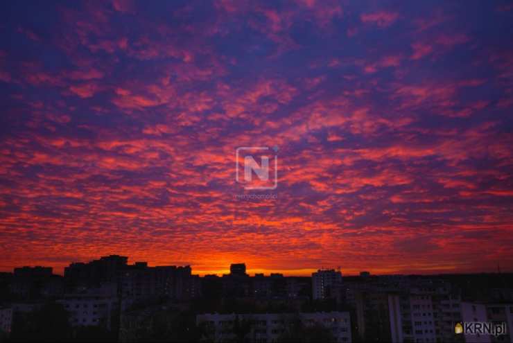 Warszawa, Śródmieście/Muranów, ul. Niska, 2 pokojowe, Mieszkanie  na sprzedaż