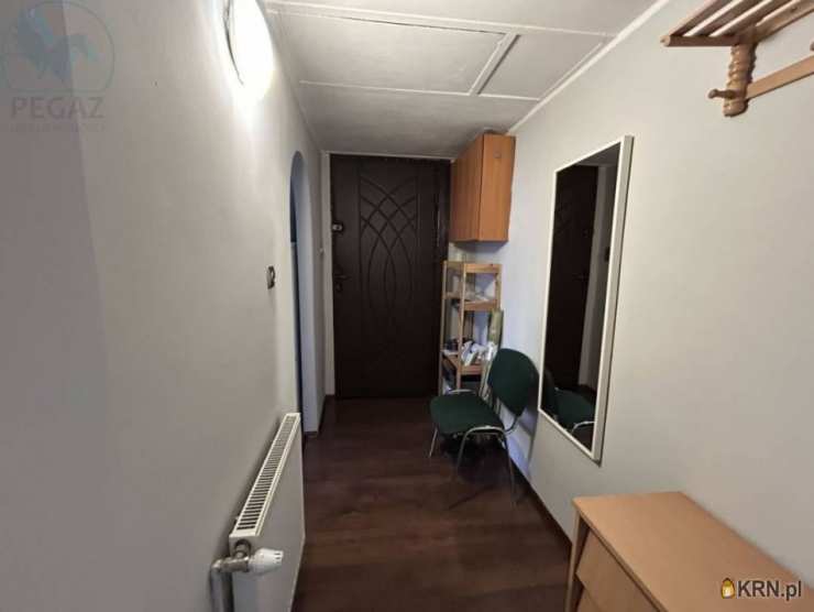 1 pokojowe, Poznań, Wilda, ul. Krzyżowa, Mieszkanie  do wynajęcia