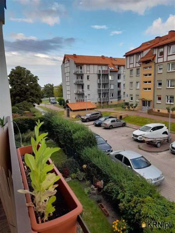 Mieszkanie  do wynajęcia, Rumia, ul. Pomorska, 1 pokojowe