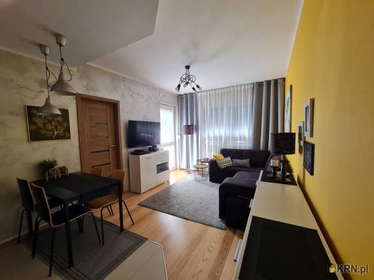 Mieszkanie  do wynajęcia, Łódź, Polesie, ul. Pienista, 2 pokojowe