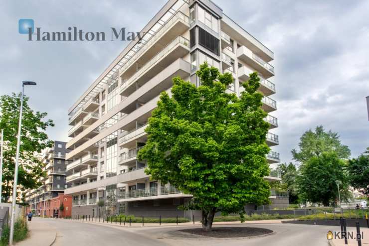 Hamilton May, Mieszkanie  do wynajęcia, Wrocław, Śródmieście, ul. Mieszczańska