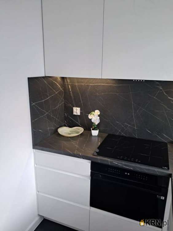 Mieszkanie  do wynajęcia, Katowice, Dąb, ul. ks. P. Ściegiennego, 2 pokojowe