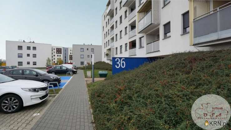 Września, ul. , 2 pokojowe, Mieszkanie  do wynajęcia