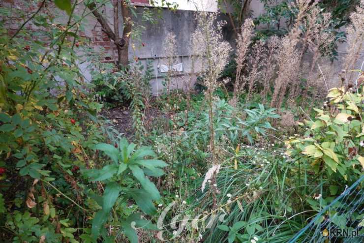Zielona Góra, ul. , Mieszkanie  na sprzedaż, 1 pokojowe
