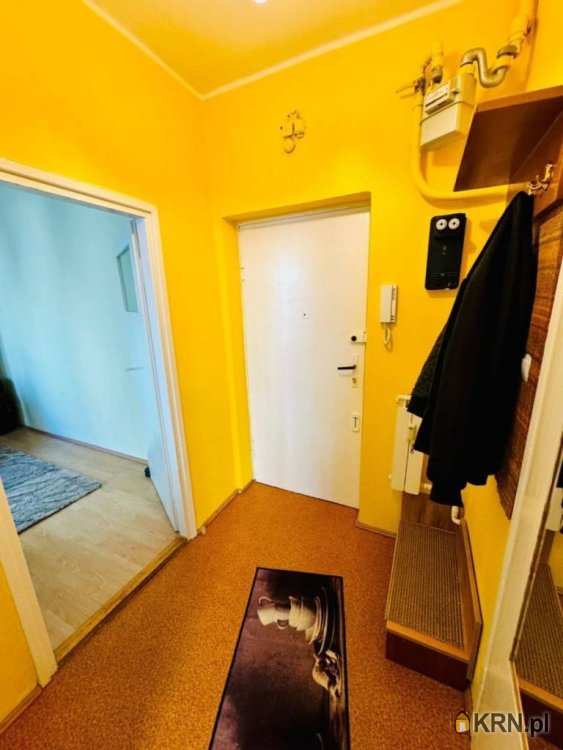 Mieszkanie  do wynajęcia, Poznań, Stare Miasto, ul. Strzelecka, 1 pokojowe