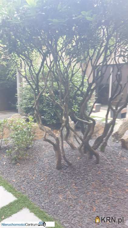 Mieszkanie  na sprzedaż, 2 pokojowe, Katowice, Bogucice, ul. 