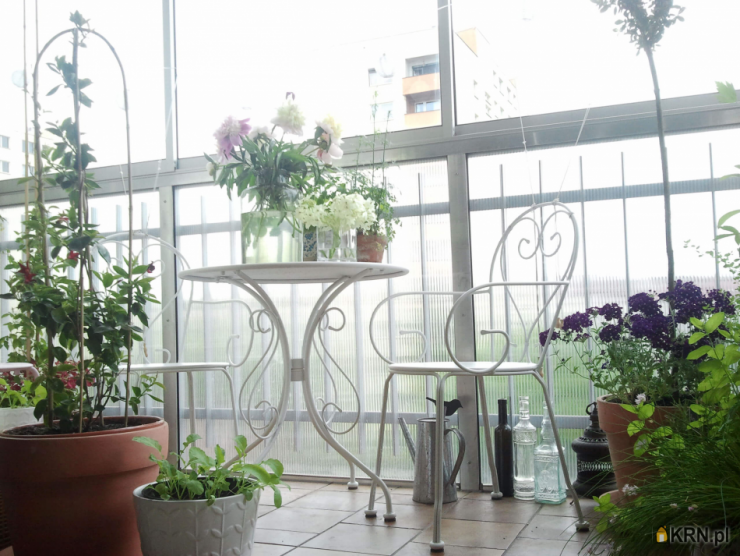 Kraków, Prądnik Czerwony, ul. Majora, Mieszkanie  do wynajęcia, 2 pokojowe