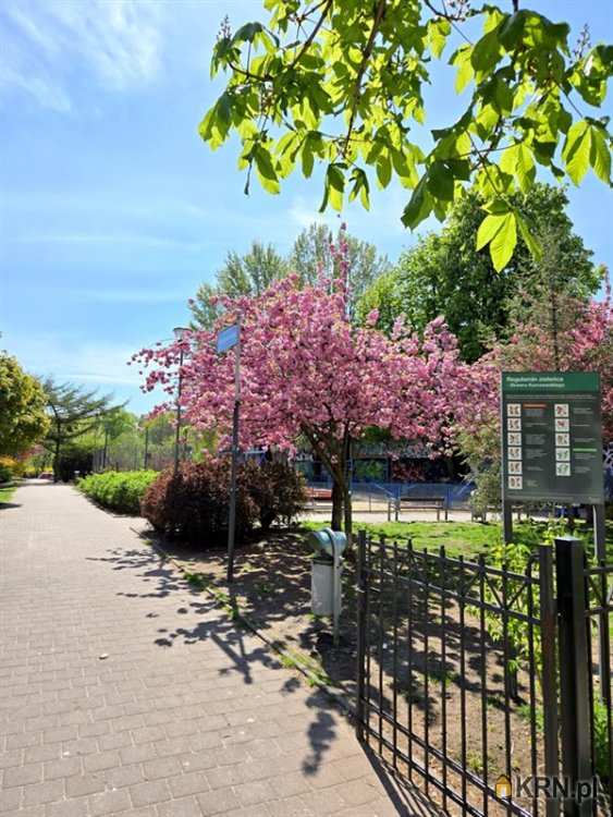 Mieszkanie  do wynajęcia, Poznań, Wilda, ul. J. Kilińskiego, 3 pokojowe