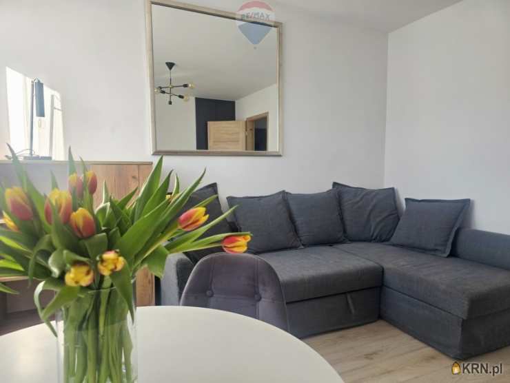 Mieszkanie  do wynajęcia, Poznań, Jeżyce, ul. , 2 pokojowe