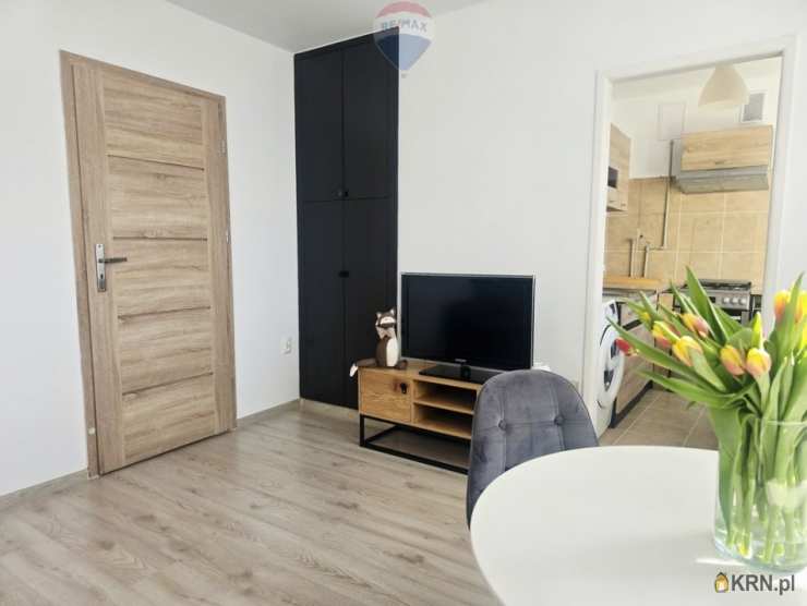 Poznań, Jeżyce, ul. , 2 pokojowe, Mieszkanie  do wynajęcia