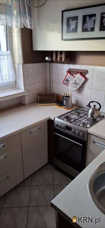 Mieszkanie  do wynajęcia, Poznań, Jeżyce/Sołacz, ul. Urbanowska, 2 pokojowe