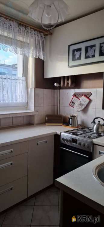 Pegaz Nieruchomości, Mieszkanie  do wynajęcia, Poznań, Jeżyce/Sołacz, ul. Urbanowska