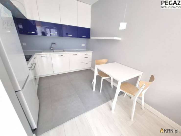 Mieszkanie  do wynajęcia, Poznań, Stare Miasto/Winogrady, ul. Hawelańska, 2 pokojowe