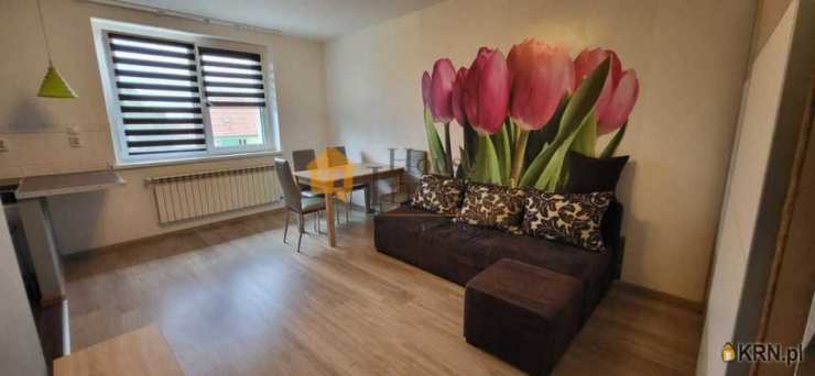 Mieszkanie  do wynajęcia, Legnica, ul. , 2 pokojowe