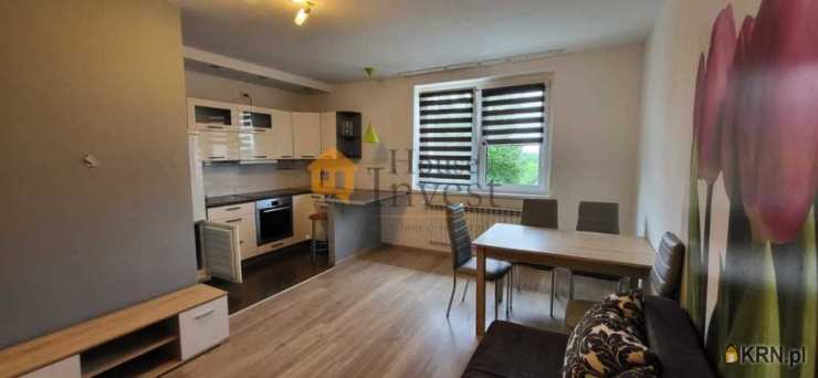 Mieszkanie  do wynajęcia, 2 pokojowe, Legnica, ul. 