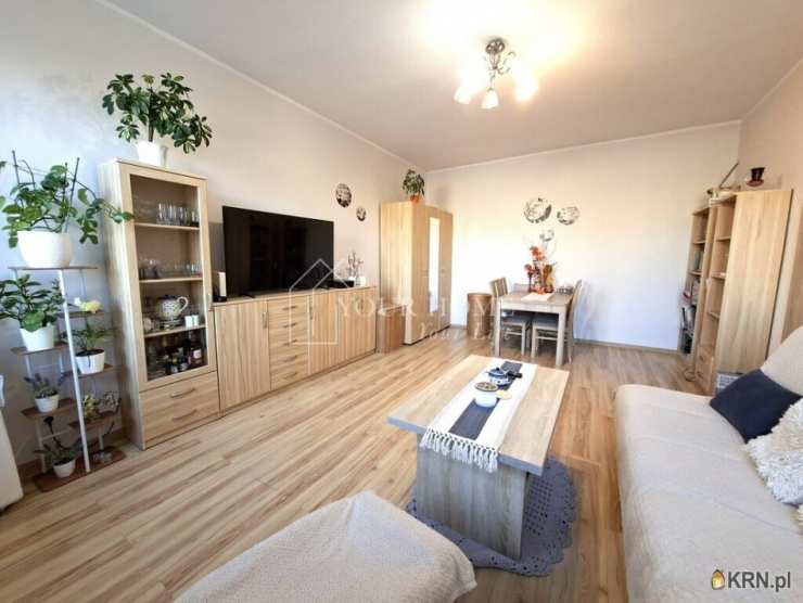 Wrocław, Śródmieście, ul. Grunwaldzki, 2 pokojowe, Mieszkanie  na sprzedaż