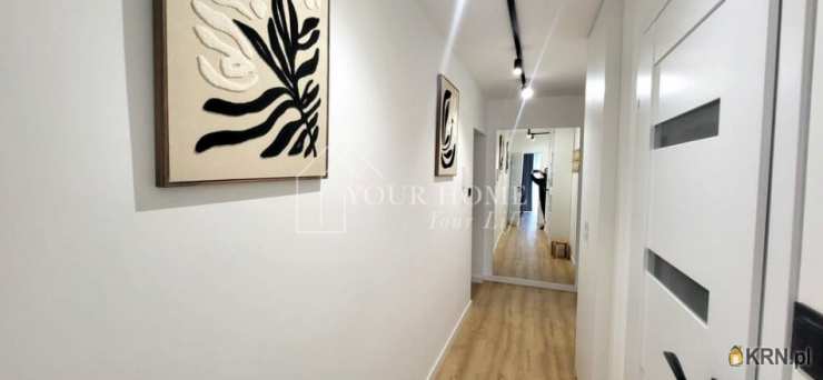 Mieszkanie  do wynajęcia, Wrocław, Stare Miasto, ul. , 2 pokojowe