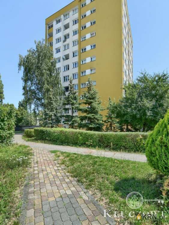 Toruń, ul. , 3 pokojowe, Mieszkanie  do wynajęcia