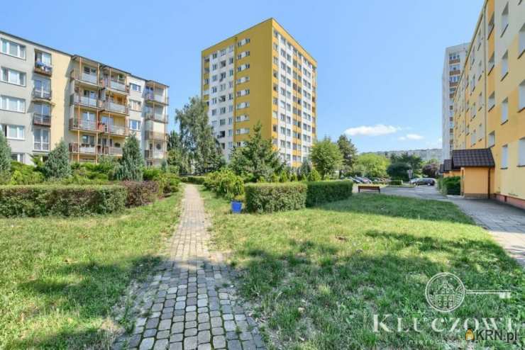 3 pokojowe, Toruń, ul. , Mieszkanie  do wynajęcia