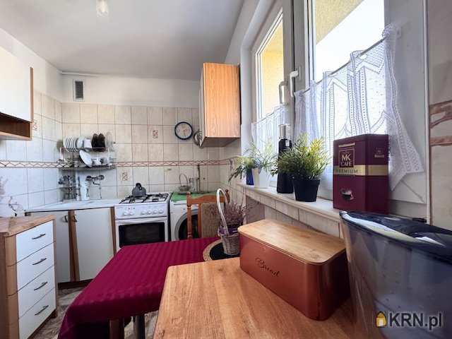 Toruń, Chełmińskie Przedmieście/Osiedle Młodych, ul. , 3 pokojowe, Mieszkanie  do wynajęcia