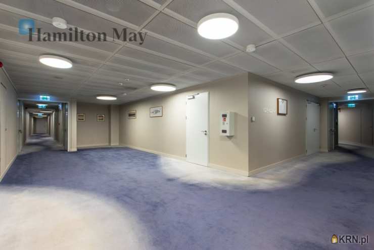 Mieszkanie  do wynajęcia, , Wrocław, Stare Miasto, ul. Podwale