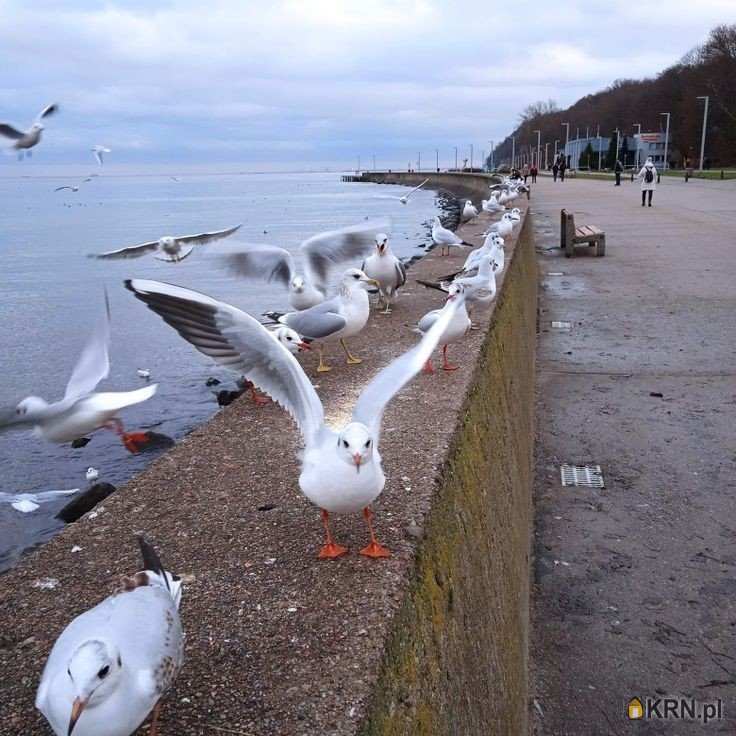 Mieszkanie  na sprzedaż, Gdynia, ul. , 3 pokojowe