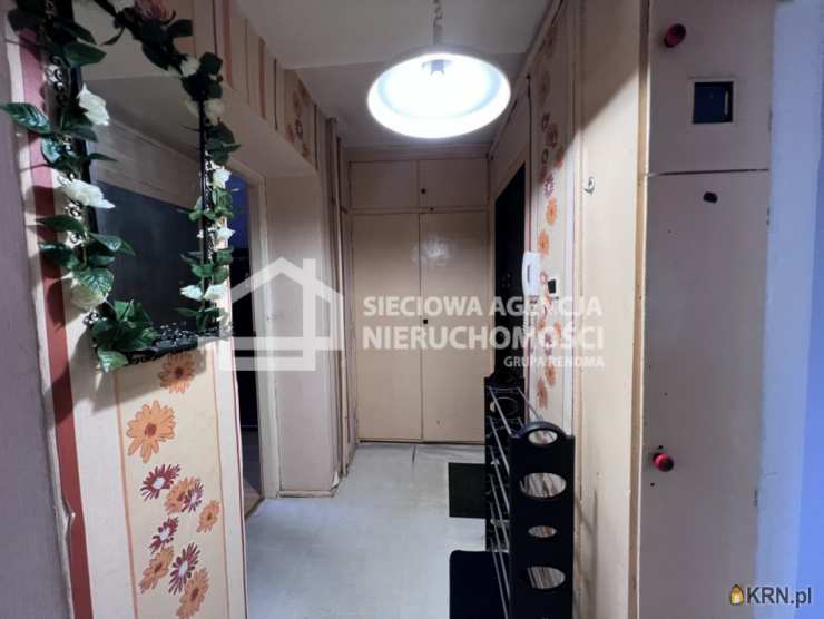 Mieszkanie  do wynajęcia, Gdynia, Działki Leśne, ul. Śląska, 2 pokojowe