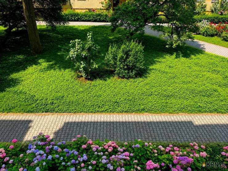 3 pokojowe, Kraków, Grzegórzki/Dąbie, ul. , Mieszkanie  na sprzedaż