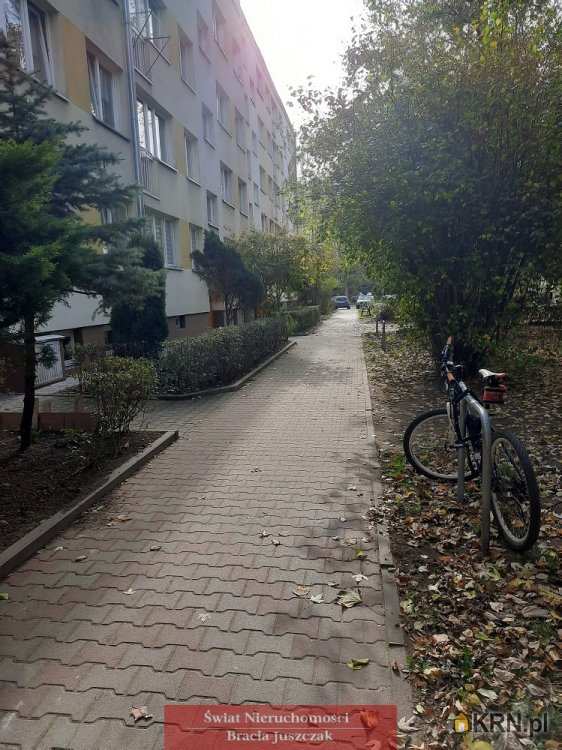 Mieszkanie  do wynajęcia, 2 pokojowe, Wrocław, Stare Miasto/Szczepin, ul. 