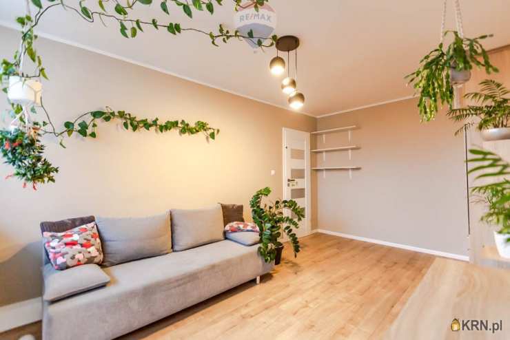 Mieszkanie  do wynajęcia, Zielona Góra, ul. , 3 pokojowe