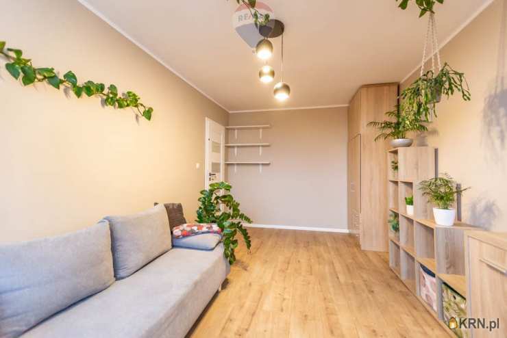 Mieszkanie  do wynajęcia, 3 pokojowe, Zielona Góra, ul. 