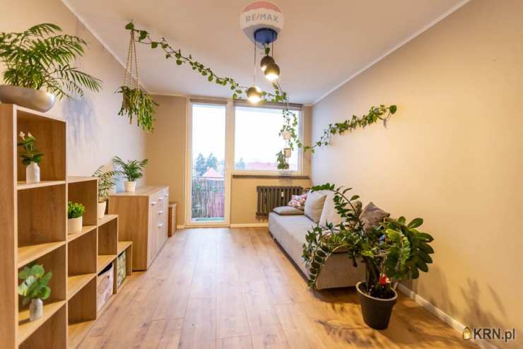 3 pokojowe, Zielona Góra, ul. , Mieszkanie  do wynajęcia