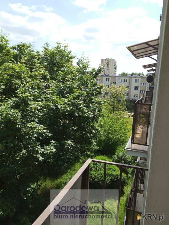 Warszawa, Bielany, ul. , 3 pokojowe, Mieszkanie  do wynajęcia