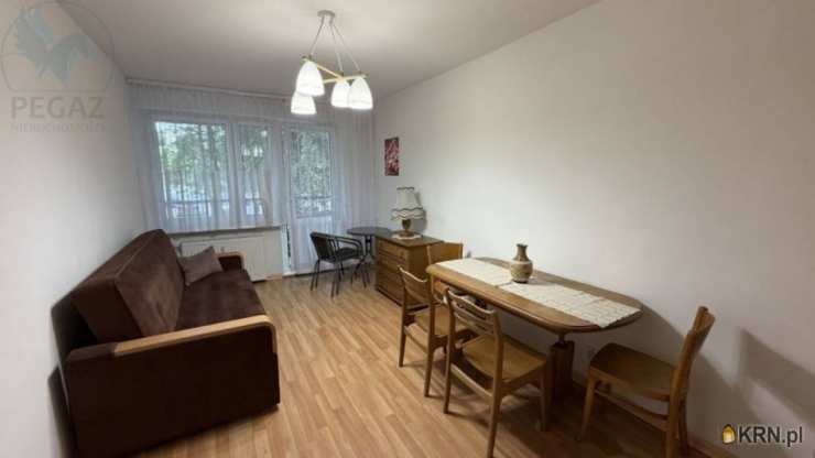 Pegaz Nieruchomości, Mieszkanie  do wynajęcia, Poznań, Stare Miasto/Winogrady, ul. Kosmonautów