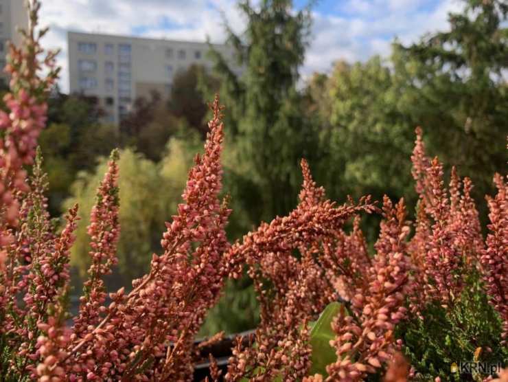 Warszawa, Ursynów, ul. , Mieszkanie  na sprzedaż, 2 pokojowe