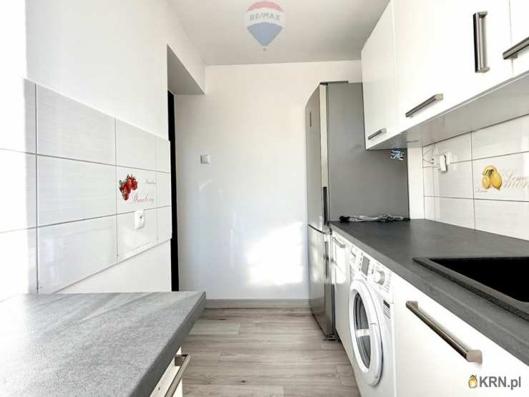 2 pokojowe, Mieszkanie  do wynajęcia, Bielsko-Biała, ul. 