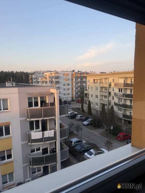 Mieszkanie  do wynajęcia, 2 pokojowe, Poznań, ul. 