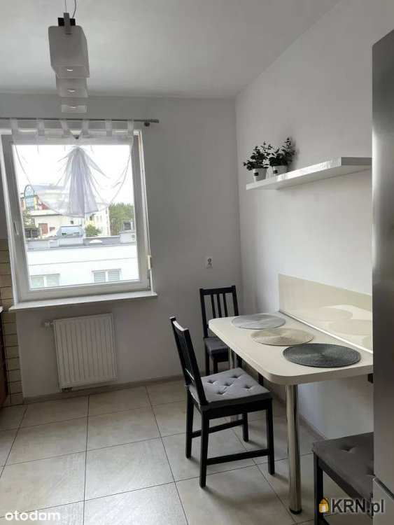 Mieszkanie  do wynajęcia, Poznań, ul. , 2 pokojowe