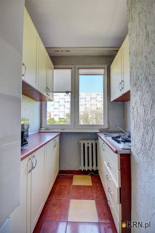 3 pokojowe, Wrocław, Stare Miasto, ul. Grabiszyńska, Mieszkanie  do wynajęcia