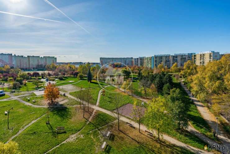 2 pokojowe, Mieszkanie  do wynajęcia, Wrocław, Krzyki/Gaj, ul. Krynicka