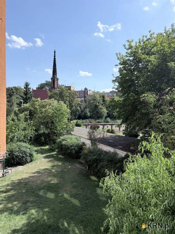 3 pokojowe, Wrocław, Śródmieście, ul. Grunwaldzki, Mieszkanie  do wynajęcia