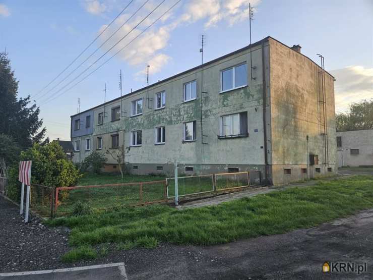 Mieszkanie  na sprzedaż, Pijanowice, ul. , 2 pokojowe