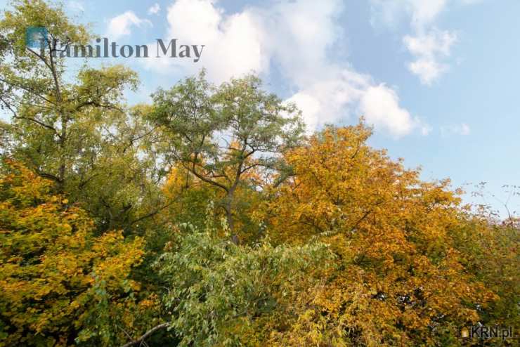 Kraków, Czyżyny, ul. Jana Pawła II, 2 pokojowe, Mieszkanie  do wynajęcia