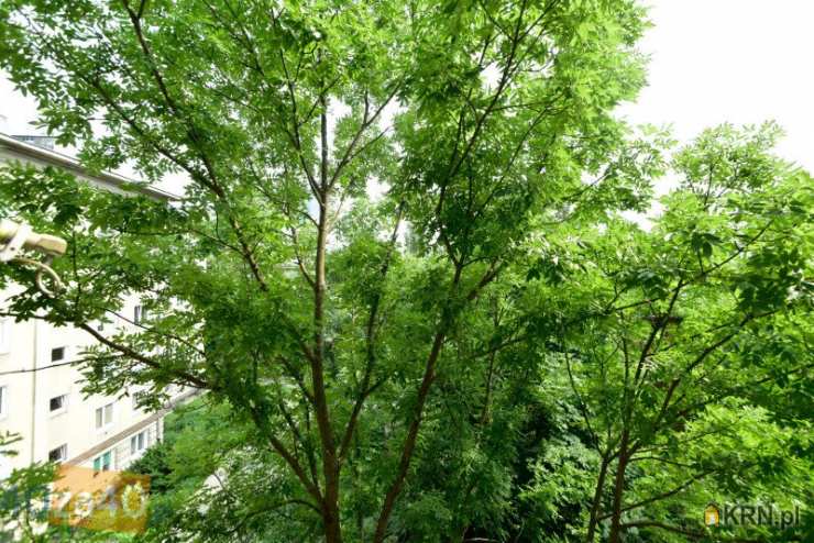 Mieszkanie  na sprzedaż, Warszawa, Śródmieście, ul. , 2 pokojowe