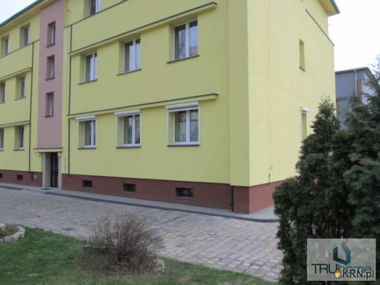 Chorzów, ul. Beskidzka, 2 pokojowe, Mieszkanie  do wynajęcia