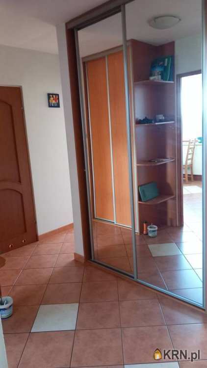 Mieszkanie  do wynajęcia, Wrocław, ul. , 2 pokojowe