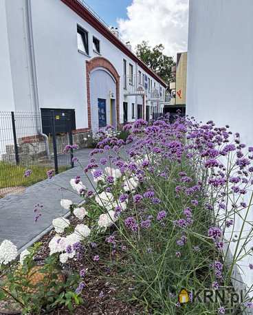 Mieszkanie  na sprzedaż, 1 pokojowe, Wrocław, Krzyki, ul. 