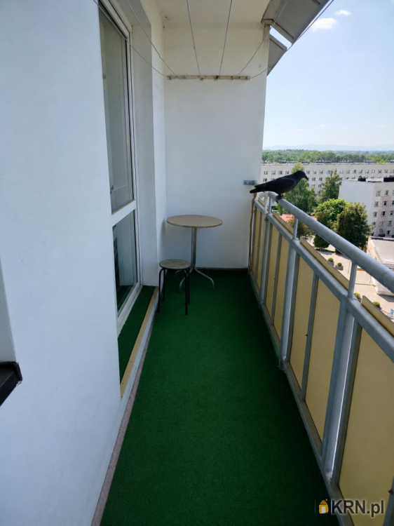 3 pokojowe, Jastrzębie-Zdrój, ul. ul. Zielona, Mieszkanie  na sprzedaż