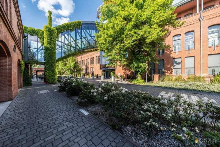 Mieszkanie  do wynajęcia, Poznań, Grunwald, ul. , 2 pokojowe