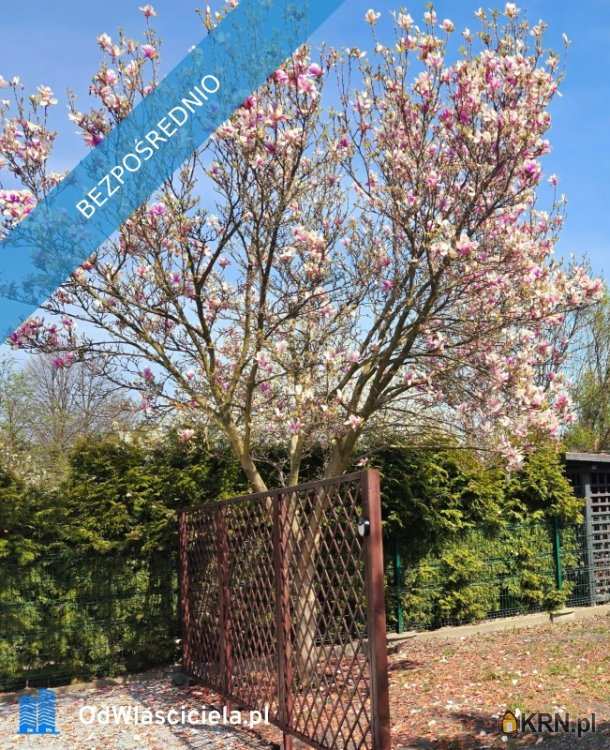 Mieszkanie  do wynajęcia, 3 pokojowe, Wrocław, Krzyki, ul. Zdrojowa